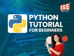 Python Programming for Beginners